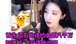 文妹爆料视频大全集免费观看,独家揭秘，免费观看